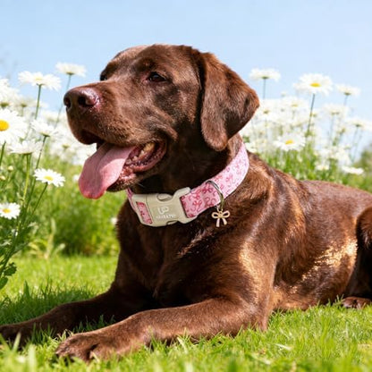 Pink Bow Dog Collar | Cute Aesthetic Cotton Collar | Soft Girl Puppy Collar | Adjustable Small Medium Dog Collar | Coquette Pet Style