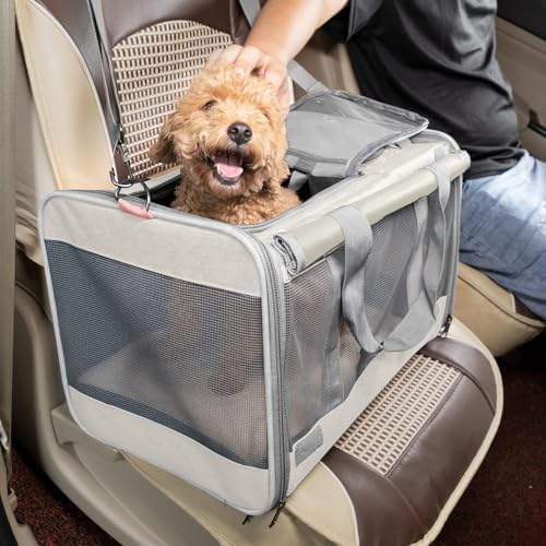 GAPZER Pet Carrier for Large Cat Soft-Sided Animal Traveling Bag up to 20lb