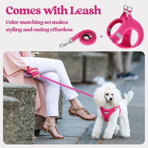 rabbitgoo Dog Harness Medium Sized and Leash Set, Step-in Puppy Pet Vest