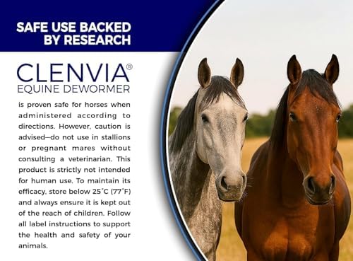 Horse Paste 10% – 1 Pack – 25g Syringes – Oral Deworming Paste for Horses of All Ages – Easy-to-Administer Equine Care