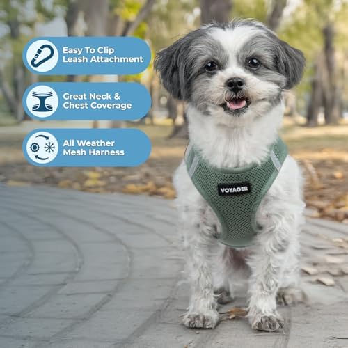 Best Pet Supplies - All Weather Mesh/Plush, Reflective, No Pull Harness for Small, Medium Dogs, Cats - Secure with Hook & Loop Fastener, Buckle, Double D-Rings - Moss Green, XS
