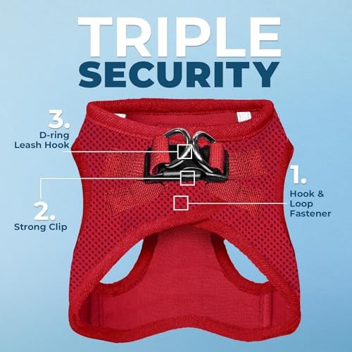 Best Pet Supplies Voyager Step-in Air All Weather Mesh Harness and Reflective Dog 5ft Leash Combo with Neoprene Handle, for Small, Medium and Large Breed Puppies - Red, X-Large