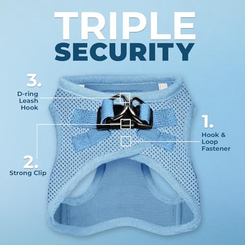 Best Pet Supplies Voyager Step-in Air All Weather Mesh Harness and Reflective Dog 5ft Leash Combo with Neoprene Handle, for Small, Medium and Large Breed Puppies - Baby Blue, Large