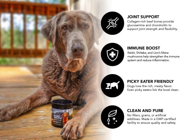 Bone Broth for Dogs – Grass-Fed Beef Protein Powder with Medicinal Mushrooms – Supports Hips, Joints, Digestion & Immunity – All-Natural Food Topper – 60 Servings (3 oz, 83 Grams)