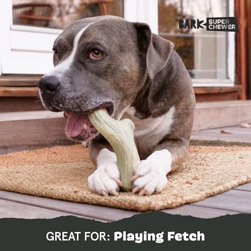 BarkBox Big Game Antler Super Chewer - Toy for Large Dogs