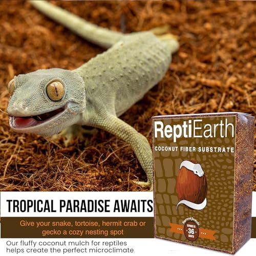 ReptiEarth Reptile Bedding, Fluffy Coconut Fiber Substrate 36 Quart Organic Coco Ready to Use for Bioactive Snake Terrarium, Lizard Tanks with Plants, for Frog, Tarantula or Hermit Crab Habitat (4 Pk)