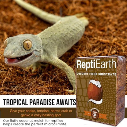 ReptiEarth Reptile Bedding, Fluffy Coconut Fiber Substrate 12 Quart Organic Coco Ready to Use for Bioactive Snake Terrarium, Lizard Tanks with Plants, for Frog, Tarantula or Hermit Crab Habitat
