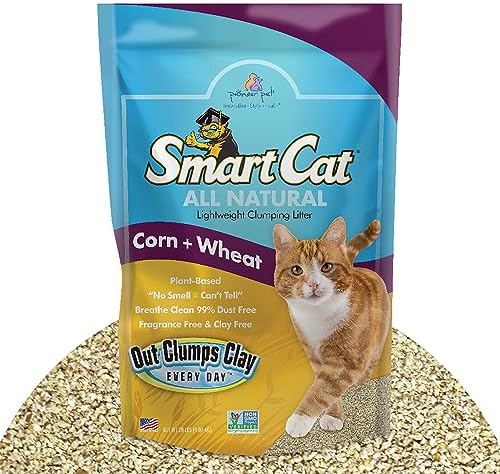SmartCat All Natural Clumping Corn + Wheat Cat Litter, 20 Pound (320oz - 1 Pack) - Unscented and Clay Free