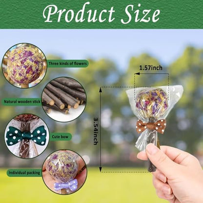 kathson 20PCS Rabbit Timothy Hay Treats Sticks,Interactive Bunny Lollipop Chew Sticks,Natural Guinea Pigs Chewing Treats Molar Teeth Toys for Small Animals,Chinchilla,Hamster,Gerbil