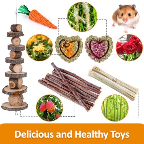 Hamster Toys Set, Guinea Pig Toys Bunny Small Animal Chewing Toy for Cage