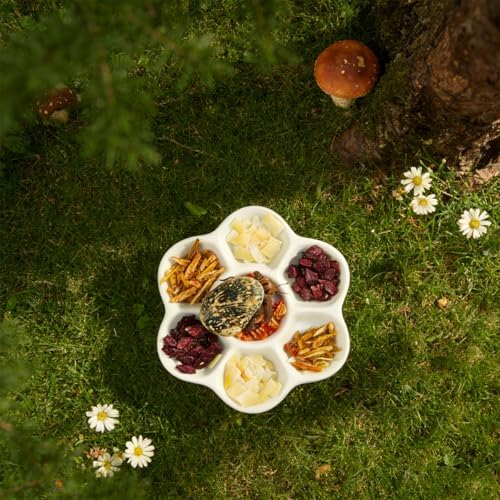 2 Pack Terrarium Bowls, Hermit Crab Water Dishes & Water Bowl