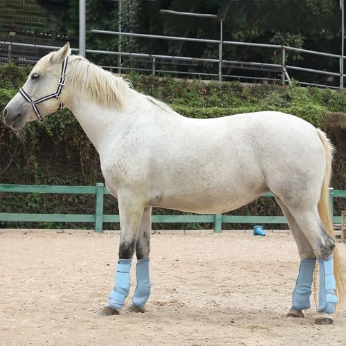 Horse Fly Boots, Mesh Fly Boots for Horse Set of 4, Equine Leg Protection