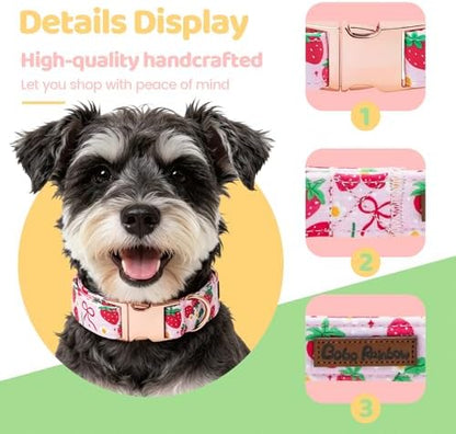 Spring Dog Collar, Red Strawberry Print Pet Collars Pink Cute Durable Metal Buckle Girl and Boy Dog Collars Adjustable for Small Medium Large Dogs