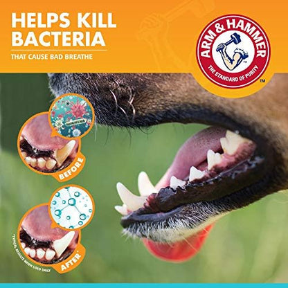 Arm & Hammer Enzymatic Dog Dental Care Kit, Chicken Flavor, 2.5 Oz, 48-Pack