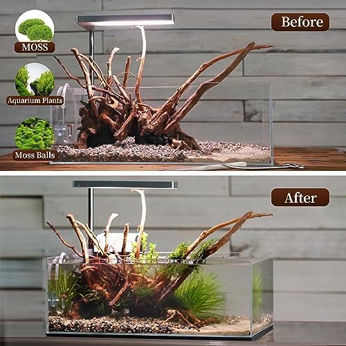 majoywoo Natural Driftwood for Aquarium Decor Fish Tank Decor Reptile Decor