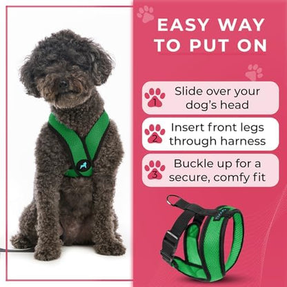 Gooby Comfort X Head-in Dog Harness, Choke-Free, Hunter Green, Small