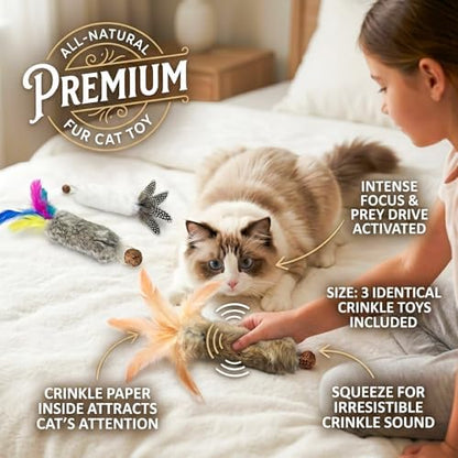 Cat Toy Rabbit Fur Feather 6pcs Gall Fruit Treat Kitten Kick Indoor