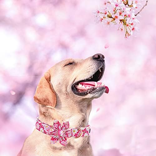 Elegant Little Tail Girl Dog Collar with Flowers - Pink Floral Pattern, Adjustable for Large Dogs