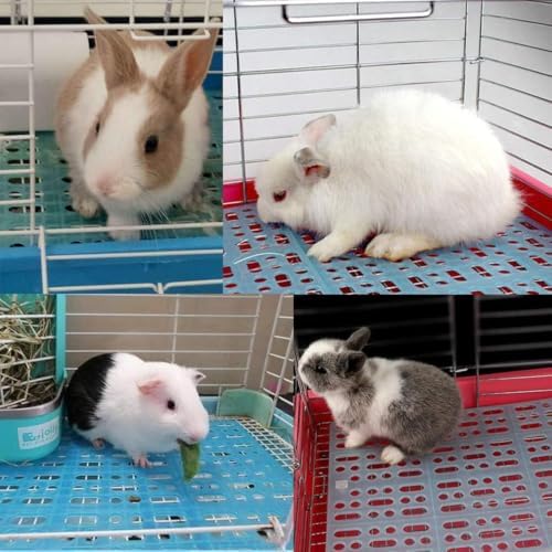 Hamiledyi 12Pcs Rabbit Cage Mats Small Animal Plastic Feet Pads Floor Mat for Pet Cats Dogs Bunny Hamster Rat Chinchilla Guinea Pig(Blue)