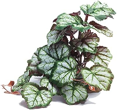 Woyrise Artificial Reptile Plants for Terrarium, Habitat Decor, Fake Plant
