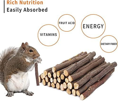 700g Apple Sticks Molar Wood Treats, Rabbit Toys Chinchilla Guinea Pig Bunny Toys Wood Chews Sticks for Teeth Rabbit Food Guinea Pig Hamster Gerbil Chews Small Animals Snacks(200 Pcs)