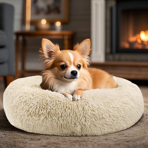 Hoewina Dog & Cat Bed, 20in Cat Beds for Indoor Cats (Light Brown)