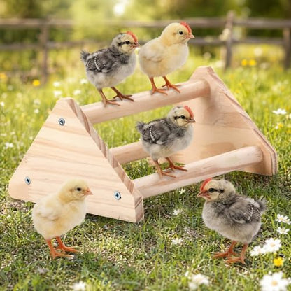 Wood Chicken Perch,Strong Pine Wooden Chick Training Perch with 3 Roosting Bar,Gym Perch Toys for Baby Chicks & Parrots,Easy to Assemble