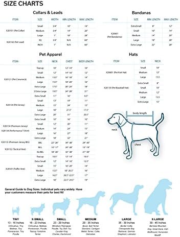Little Earth NCAA Pet Team Lead