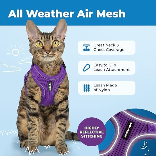 Voyager Escape-Proof Step-in Lock Cat Harness & 5ft Neoprene-Handle Leash Set All-Weather Mesh with Reflective Stitching for Small to Large Cats by Best Pet Supplies, Purple (327), XS