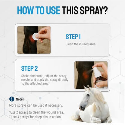 Horse Wound Care Spray with Silver – for Insect & Fly Bites, Hot Spots, Scratches & Itchy Skin – Supports Quick Healing of Cuts, Abrasions & Rain Rot Treatment for Horses – Equine Healing Aid – 4 Oz