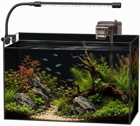 5 Gallon Glass Aquarium Starter Kit, Rimless Fish Tank