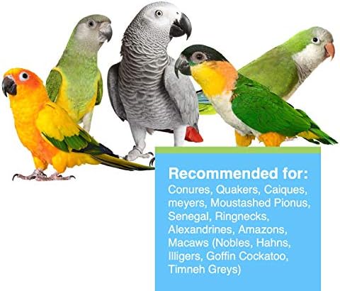 Hari Hagen Tropimix Enrichment Food for Small Parrots, 20 lb. (9.07 kg)