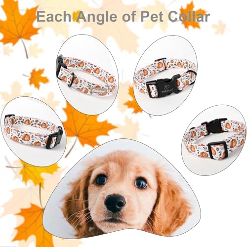 Fall Dog Collar, Cute Orange Pumpkin Pattern Puppy Collar S