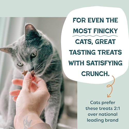 Shameless Pets Catnip N Chill Chicken Liver Crunchy Cat Treats, 12 oz