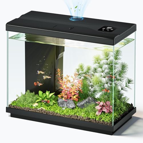 2.2 Gallon Small Fish Tank, Betta Fish Aquariums Black