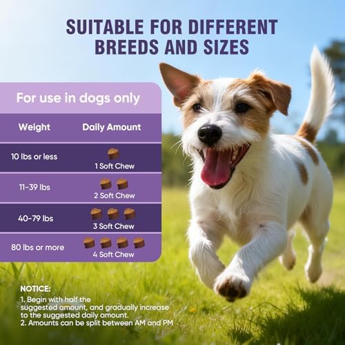 Dog Allergy Chews 200ct-Aller Immune Relief for Itchy Skin, Lamb Flavor