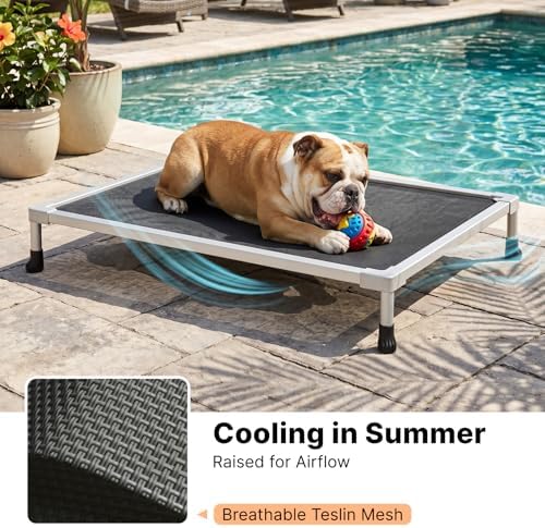 Veehoo Chew Proof Elevated Dog Bed, Silver Aluminum Dog Cot, Pre-Assembled