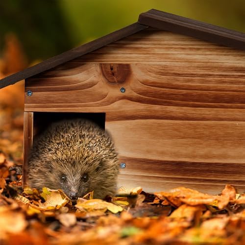 Relaxdays Hedgehog House, Wooden Protective Box, 2 Rooms, Hibernation Den