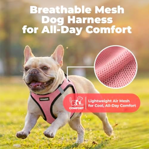 Voyager Step-in Air Dog Vest Harness - Pink/Black Trim, XX-Small