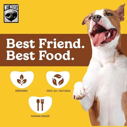 Wet Noses Organic Crunchy Dog Treats Grain Free – All-Natural, Human-Grade, Non-GMO, Healthy Training & Delicious Snacks for Dogs, for All Dog Sizes & Breeds – Peanut Butter & Banana, 14oz (2 Pack)