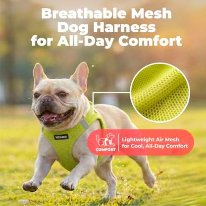 Best Pet Supplies Voyager Step-in Air Harness - All Weather Mesh, Reflective, No Pull Harness for Dogs, Cats - Secure with Hook & Loop Fastener, Buckle, Double D-Rings - Lime Green, XS