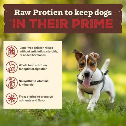 Primal Kibble in The Raw, Freeze-Dried Dog Food, Small Breed, 1.5 lb