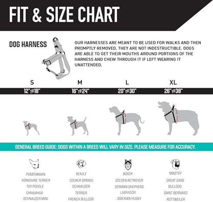 Wolfgang Heavy Duty Adjustable Dog Harness, Pull-Tested to Over 800 lbs for Walking & Training, WolfMountain Print, Small