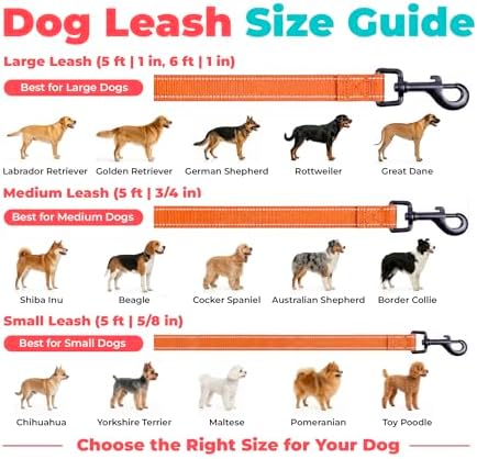 Best Pet Supplies Voyager Nylon Dog Leash - Orange, Small
