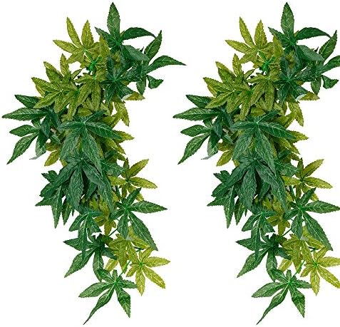 Reptile Plants Hanging Terrarium Plant Amphibian Habitat Decor