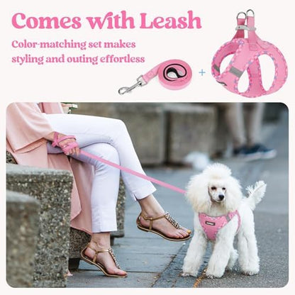 rabbitgoo Dog Harness Medium Sized and Leash Set, Step-in Puppy Pet Vest