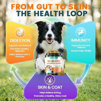 Carmelie Probiotics for Dogs Yeast, Gut Health for Digestive Enzymes 200ct