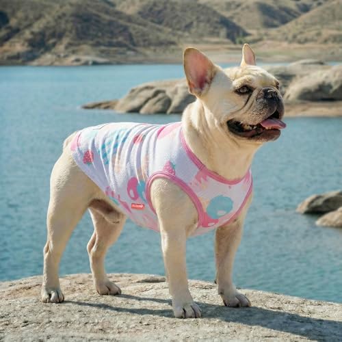 KYEESE 2Pack Dog Shirt for Small Dogs Soft Breathable T-Shirts, Ice Cream