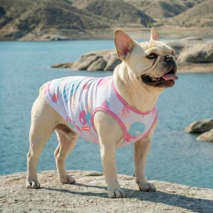 KYEESE 2Pack Dog Shirt for Small Dogs Soft Breathable T-Shirts, Ice Cream