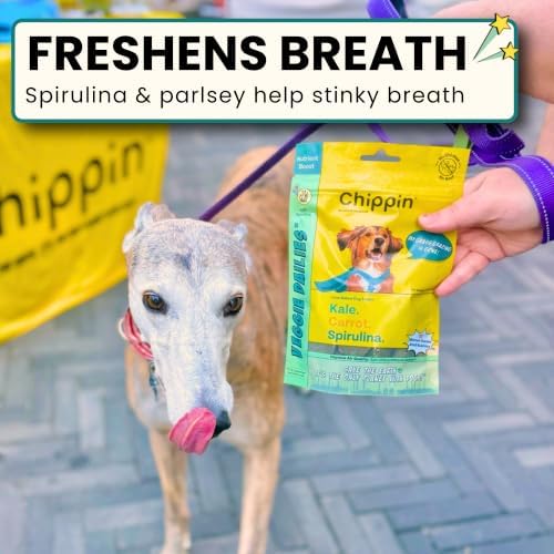 Chippin Healthy Dog Treats, All Natural Crunchy Biscuits with Real Spirulina, Kale, Oats, No Meat, Hypoallergenic, Vegan Treats for Puppy, Small, Large Dogs, 2 Pack